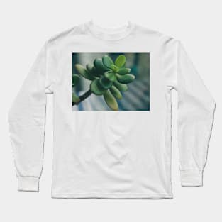 Money Tree Long Sleeve T-Shirt